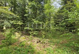 Bribirska šuma teren na prodaju, Vinodolska Općina, Arazi