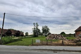 Stare Plavnice - građevinsko zemljište, Bjelovar - Okolica, Tierra