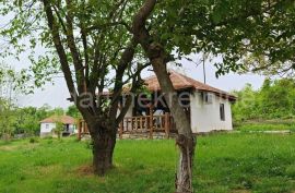 Etno selo Amerić, Mladenovac, Дом