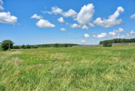 Poreč okolica, poljoprivredno zemljište, 32619 m2, Kaštelir-Labinci, Zemljište