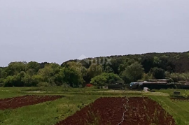 ISTRA,PULA - Poljoprivredno zemljište, Pula, Terrain