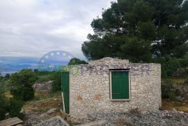 Brač, autohtona kamena kućica sa maslinikom i pogledom na more, prodaja, Milna, Σπίτι