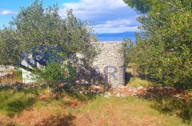 Brač, autohtona kamena kućica sa maslinikom i pogledom na more, prodaja, Milna, Haus