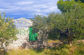 Brač, autohtona kamena kućica sa maslinikom i pogledom na more, prodaja, Milna, Дом