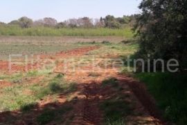 Štinjan - prodaja zemljišta, 2337m2, Pula, Terreno