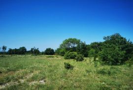 Prostrano poljoprivredno zemljište od 22200 m2, okolica Labina, Labin, Arazi