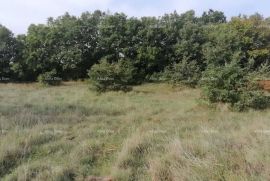 Poljoprivredno zemljište Prodaja poljoprivredno zemlište Bibići, Svetvinčenat, Arazi