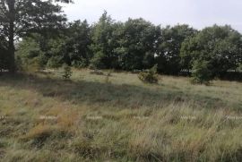 Poljoprivredno zemljište Prodaja poljoprivredno zemlište Bibići, Svetvinčenat, Terreno