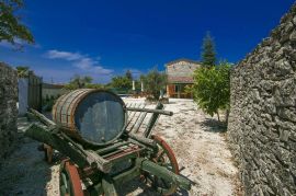 Imanje sa kamenom kućom i starinom u centralnoj Istri, Tinjan, Tinjan, Σπίτι