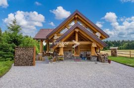 Ravna Gora, okolica, planinska kuća za odmor s 3.700m2 zemljišta, Ravna Gora, Дом