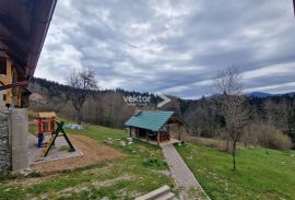 Vrbovsko, preuređena goranska kuća na parceli od 8.000m2, Vrbovsko, Haus