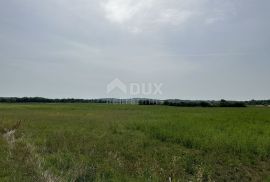 ISTRA, UMAG - Poljoprivredno zemljište 25.000 m2, Umag, Arazi