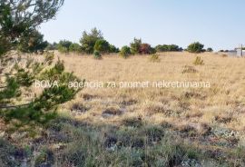 Poljoprivredno zemljište 3000 m2 na Viru, Zadar *400 m OD MORA*  (ID-1875), Vir, Terra