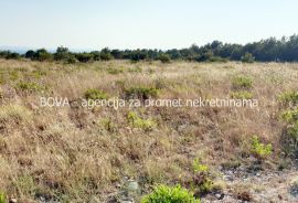 Poljoprivredno zemljište 11000 m2 na Viru, Zadar *POGLED MORE*  (ID-1870), Vir, Arazi