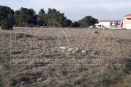 Poljoprivredno zemljište 600 m2 na Viru, Zadar *350 m OD MORA* *PRILIKA*, Vir, Terreno