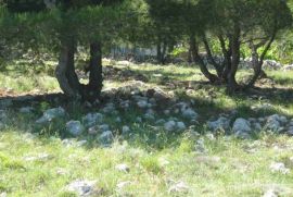 Poljoprivredno zemljište 1200 m2 na Viru, Zadar *POGLED MORE*, Vir, Land