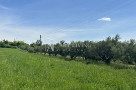 Istra, Buje, okolica - lijepo poljoprivredno zemljište s maslinikom, Buje, Γη
