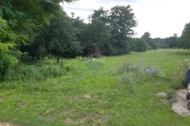 Istra, Žminj okolica pravilna građevinska parcela, Žminj, Terrain