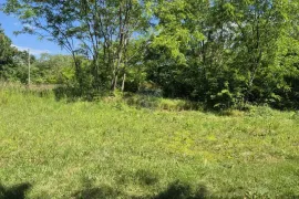 Istra, Šumber okolica isparcelirana građevinska parcela za 8 villa, Sveta Nedelja, Terrain