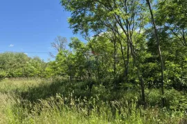 Istra, Šumber okolica isparcelirana građevinska parcela za 8 villa, Sveta Nedelja, Terrain