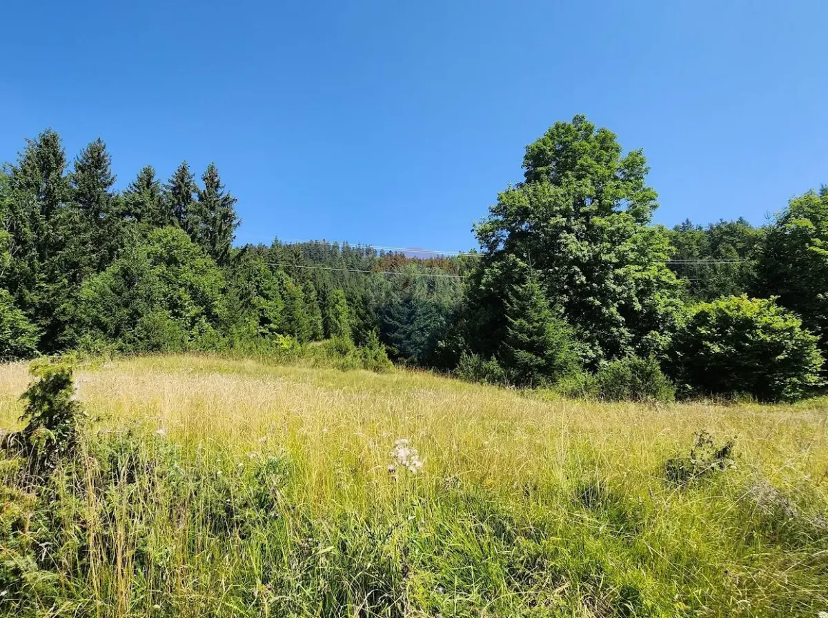Sunger - negrađevinski teren među smrekama, Mrkopalj, Terrain