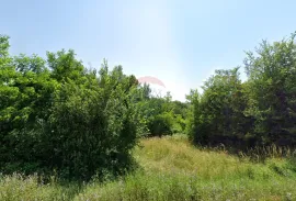 Motovun okolica,  poljoprivrdno zemljište 73837 m2, Karojba, Terreno