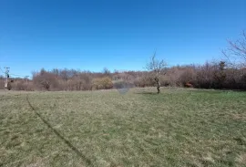 Istra, Barban - građevinsko zemljište 3000m2 na lijepoj lokaciji, Barban, Земля
