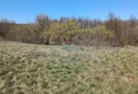 Istra, Barban - građevinsko zemljište 3000m2 na lijepoj lokaciji, Barban, Земля