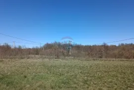 Istra, Barban - građevinsko zemljište 3000m2 na lijepoj lokaciji, Barban, Земля