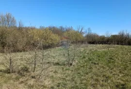 Istra, Barban - građevinsko zemljište 3000m2 na lijepoj lokaciji, Barban, Земля