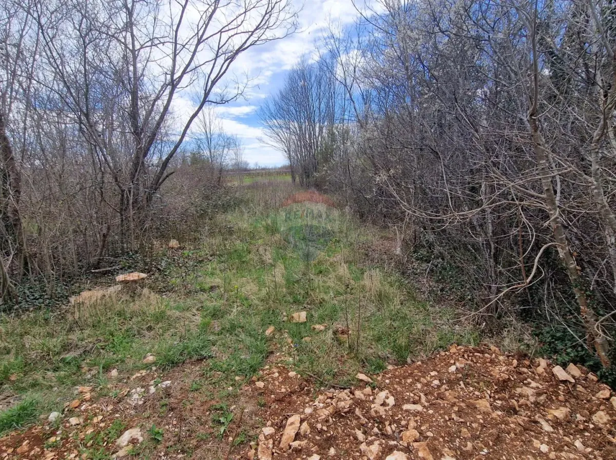 Istra, Bokordići, Negrađevinsko Nemljište 1307m2, Svetvinčenat, Terra