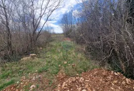 Istra, Bokordići, Negrađevinsko Nemljište 1307m2, Svetvinčenat, Земля
