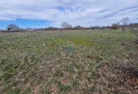 Istra, Bokordići, Negrađevinsko Zemljište 5565m2, Svetvinčenat, Земля