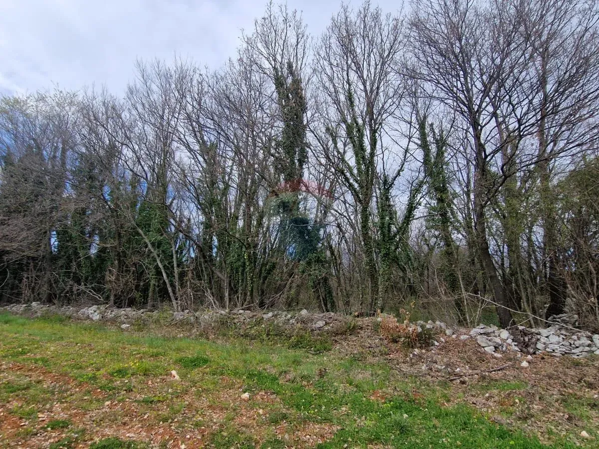 Istra, Bokordići, Negrađevinsko Zemljište 2769m2, Svetvinčenat, Земля