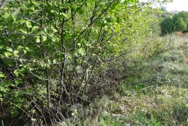Zamet - građevinski teren, Rijeka, Land