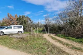 Fažana poljoprivredno zemljište sa 100 maslina i kažunom !, Fažana, Земля