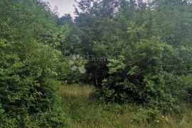 Prodaje se šuma u Raklju!, Marčana, Terrain