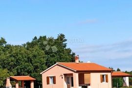 Prekrasna kuća s pomoćnim objektom okružena zelenilom, Ližnjan, Ev
