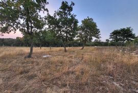 Poljoprivredno zemljište 10.427 m2 s tehničkim rješenjem za prenamjenu, Bale, Bale, أرض