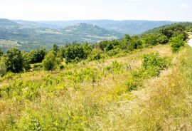 ISTRA, MOTOVUN - Kompleks zemljište sa predivnim pogledom na Motovun, Motovun, Arazi