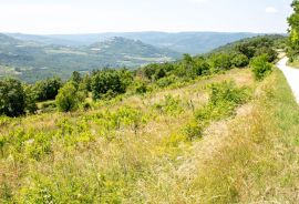 ISTRA, MOTOVUN - Kompleks zemljište sa predivnim pogledom na Motovun, Motovun, Arazi