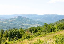 ISTRA, MOTOVUN - Kompleks zemljište sa predivnim pogledom na Motovun, Motovun, Tierra