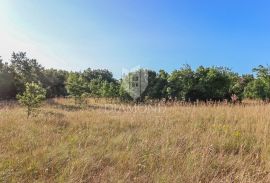 Građevinsko zemljište i prostrana šuma u okolici Barbana, Barban, Arazi