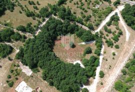 Prostrano zemljište sa projektom u središnjoj Istri, Svetvinčenat, Tierra