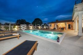Istra, Debeljuhi atraktivna moderna vila s bazenom na uređenoj okućnici, Žminj, Kuća