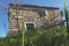 Istra-Grožnjan veliko imanje s potencijalom ulaganja, Grožnjan, أرض