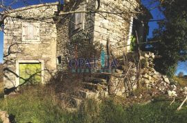 Istra-Grožnjan veliko imanje s potencijalom ulaganja, Grožnjan, Zemljište