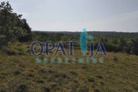 Nedaleko Poreča prodaje se uredno poljoprivredno zemljište 19.000 m2, Višnjan, أرض