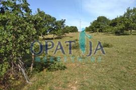 Nedaleko Poreča prodaje se uredno poljoprivredno zemljište 19.000 m2, Višnjan, Land