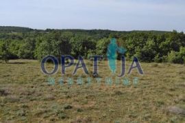 Nedaleko Poreča prodaje se uredno poljoprivredno zemljište 19.000 m2, Višnjan, Земля